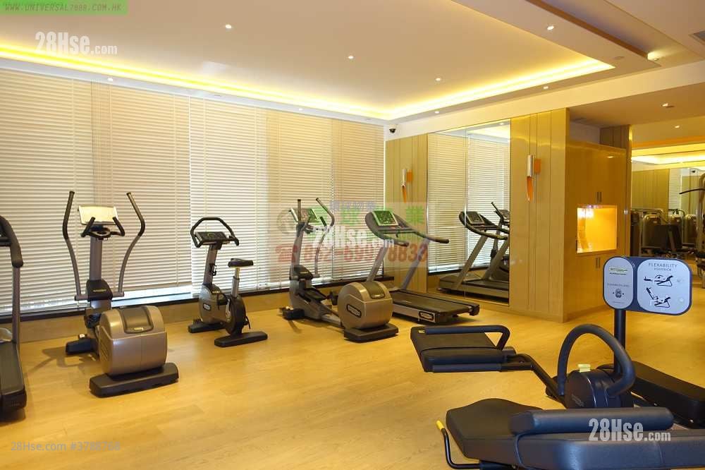 Cadogan Rental 1 Bedroom , 1 Bathroom 410 ft²