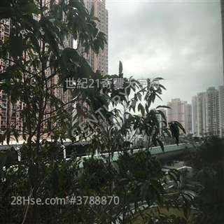 View: Bayshore Towers Rental 2 Bedrooms , 1 Bathroom 389 ft²