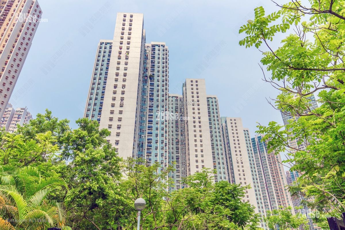 颂明苑 售盘 3 房 , 1 浴室 554 平方尺