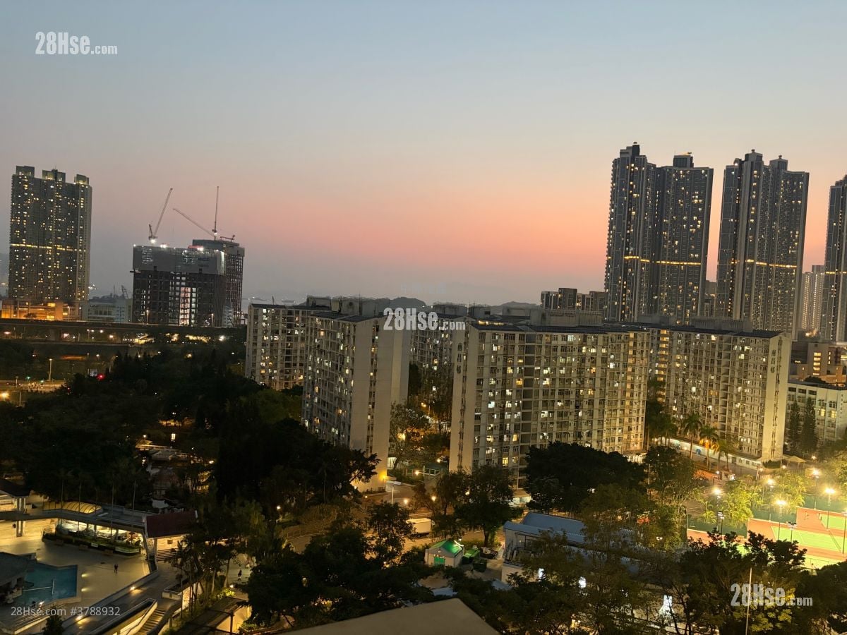 海柏汇 售盘 1 房 276 平方尺