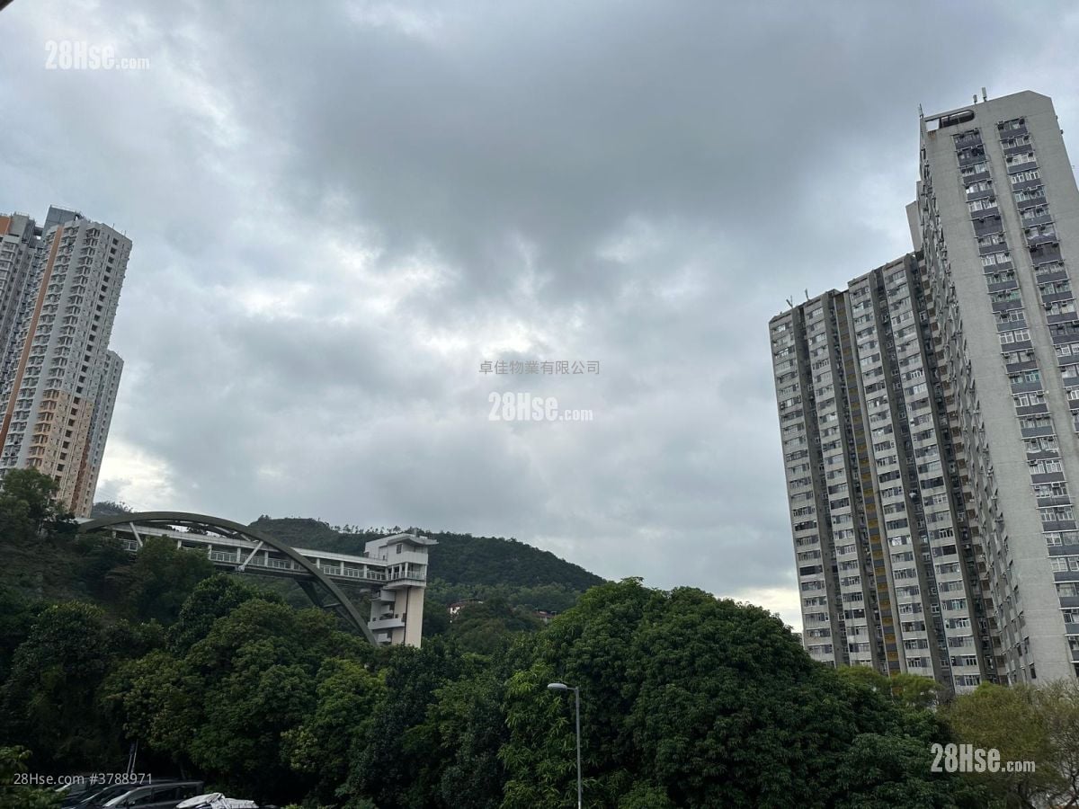 村屋 租盘 3 房 , 1 浴室