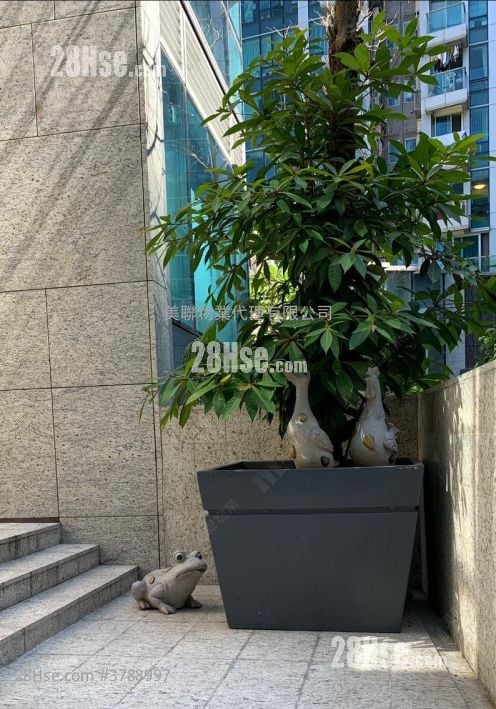 SAVANNAH 售盘 4 房 , 5+ 浴室 1,985 平方尺