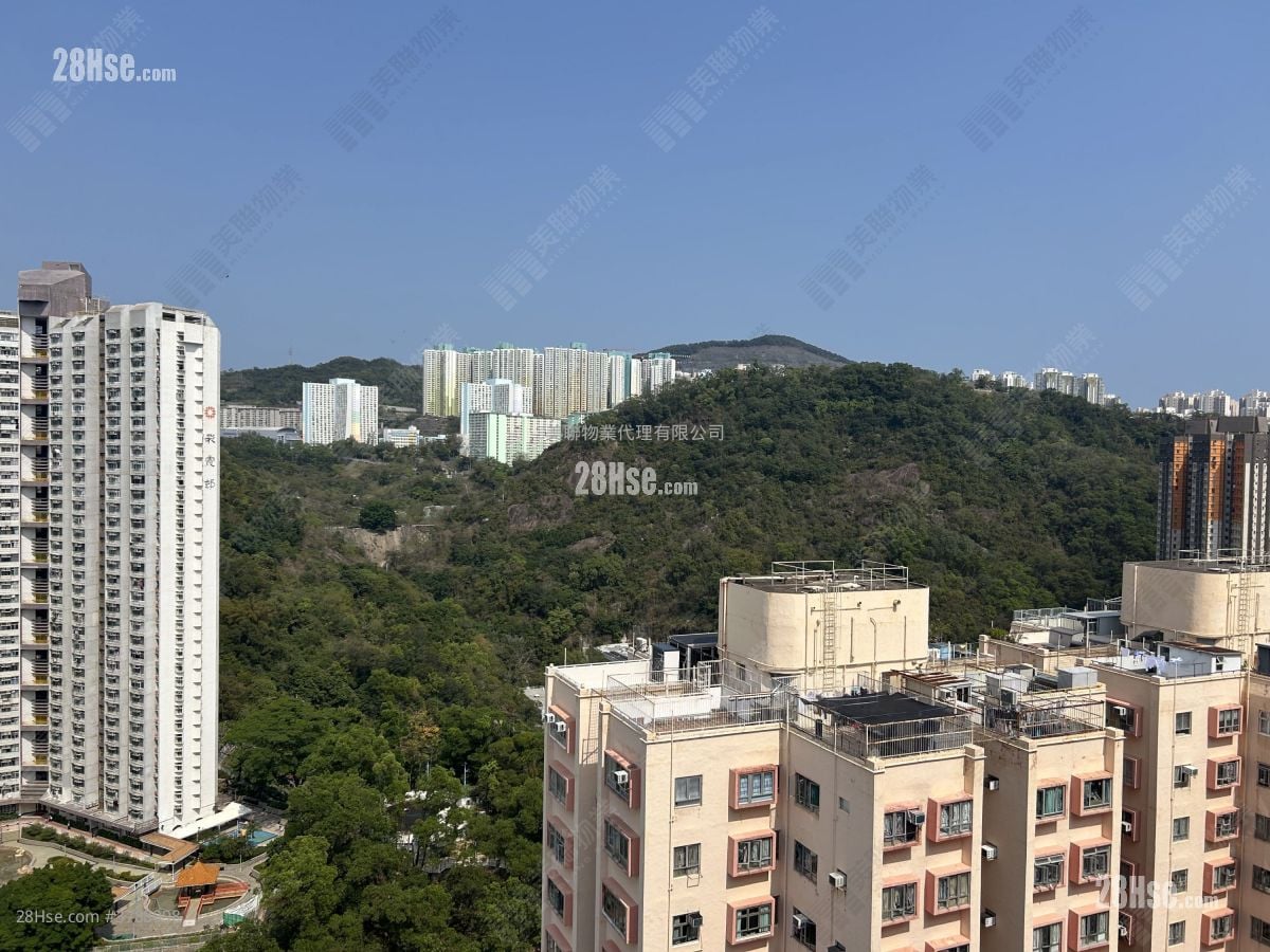 Amoy Gardens Rental 242 ft²