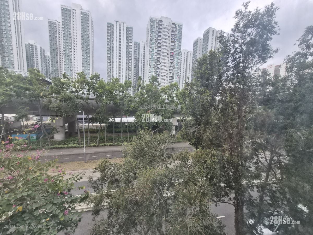 沙田工业中心 租盘 2 厕所