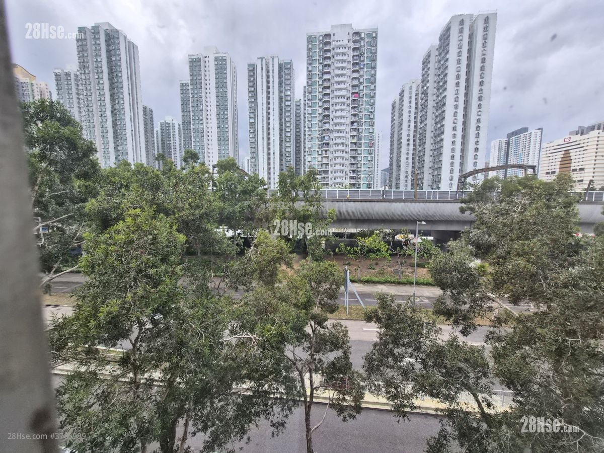 沙田工业中心 租盘 2 厕所