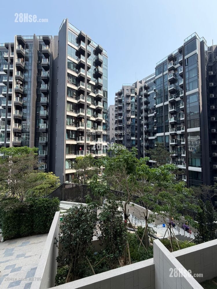 Gold Coast Bay Sell Studio , 1 Bathroom 215 ft²