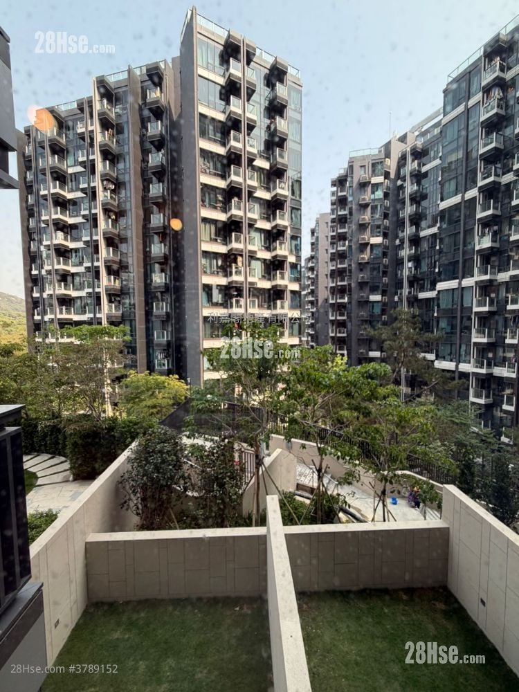 Gold Coast Bay Sell Studio , 1 Bathroom 215 ft²