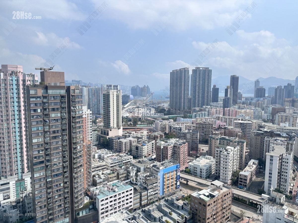 The Bloomsville Sell 3 Bedrooms 704 ft²