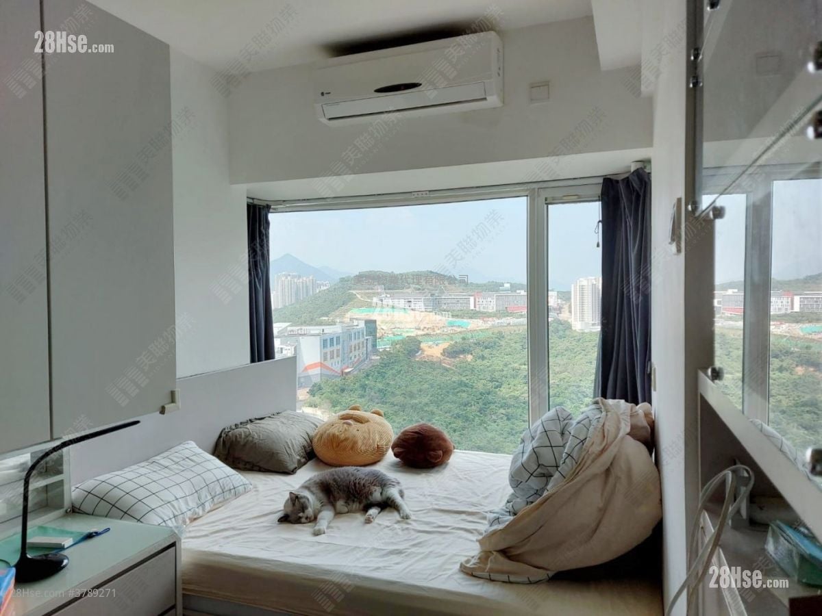 The Beaumount Sell 2 Bedrooms , 1 Bathroom 499 ft²