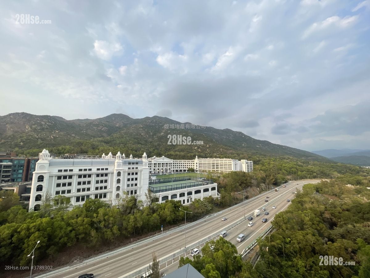 Gold Coast Bay Rental Studio , 1 Bathroom 313 ft²