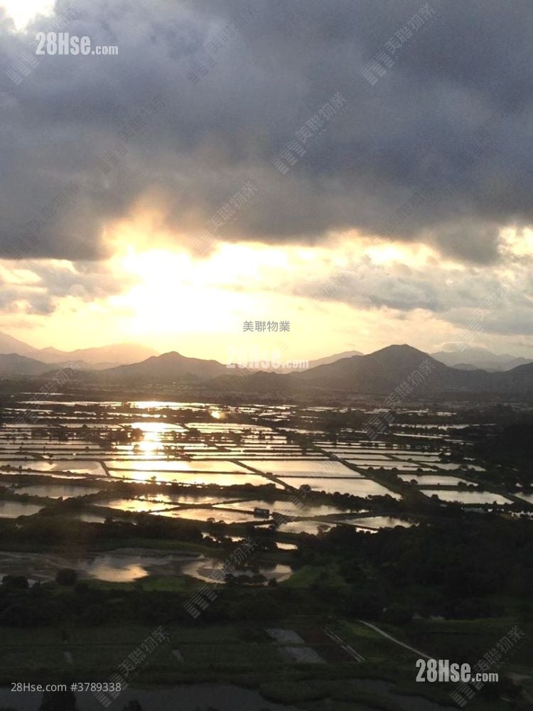 Vianni Cove Sell 2 Bedrooms , 1 Bathroom 555 ft²