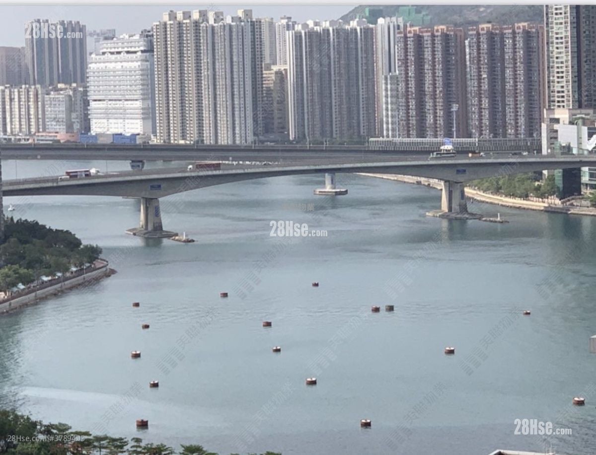 湾景广场 售盘 3 房 643 平方尺