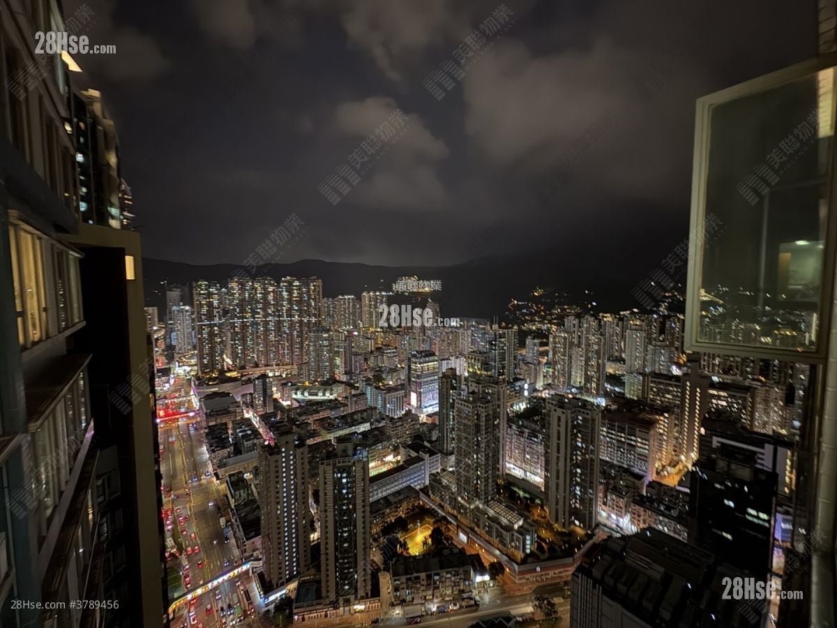 乐悠居 售盘 1 房 312 平方尺