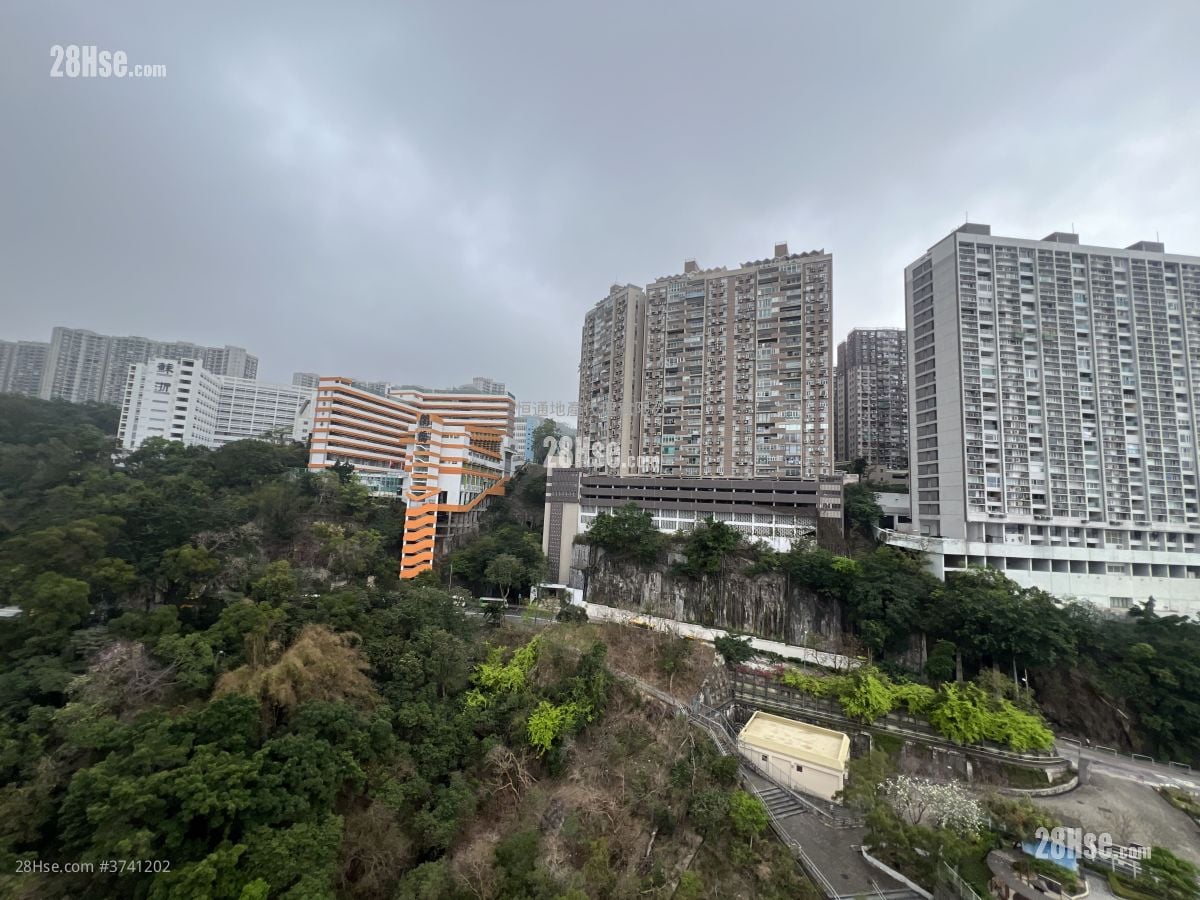 形品 租盘 1 房 , 1 浴室 363 平方尺