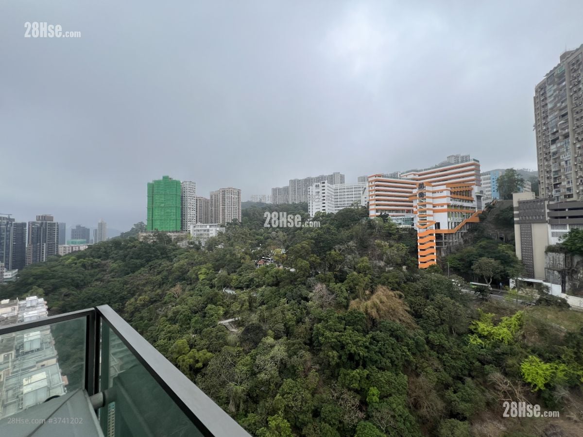 形品 租盘 1 房 , 1 浴室 363 平方尺