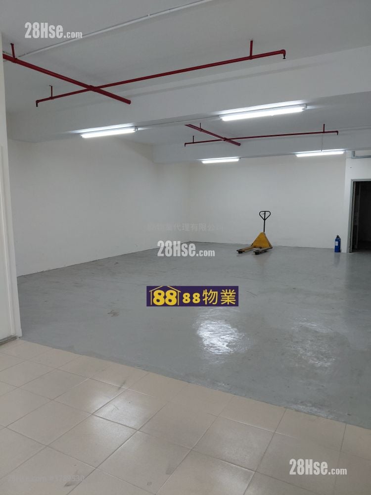 宝利中心 租盘 1 房 , 1 厕所