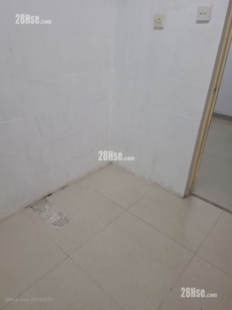 三和楼 租盘 3 房 , 1 浴室 334 平方尺