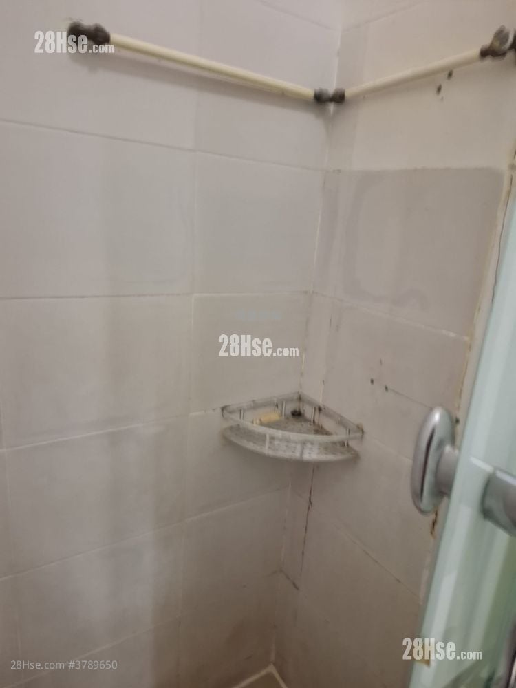 三和楼 租盘 3 房 , 1 浴室 334 平方尺