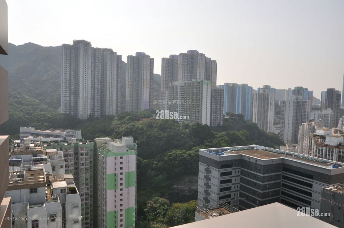 誉都 租盘 1 房 , 1 浴室 332 平方尺