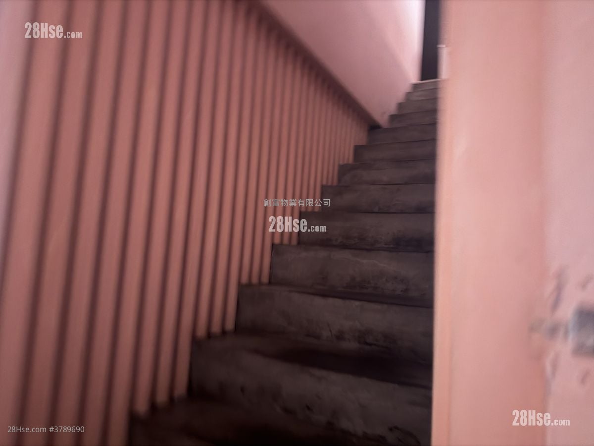 15-17 Ormsby Street Tai Hang Road  Rental