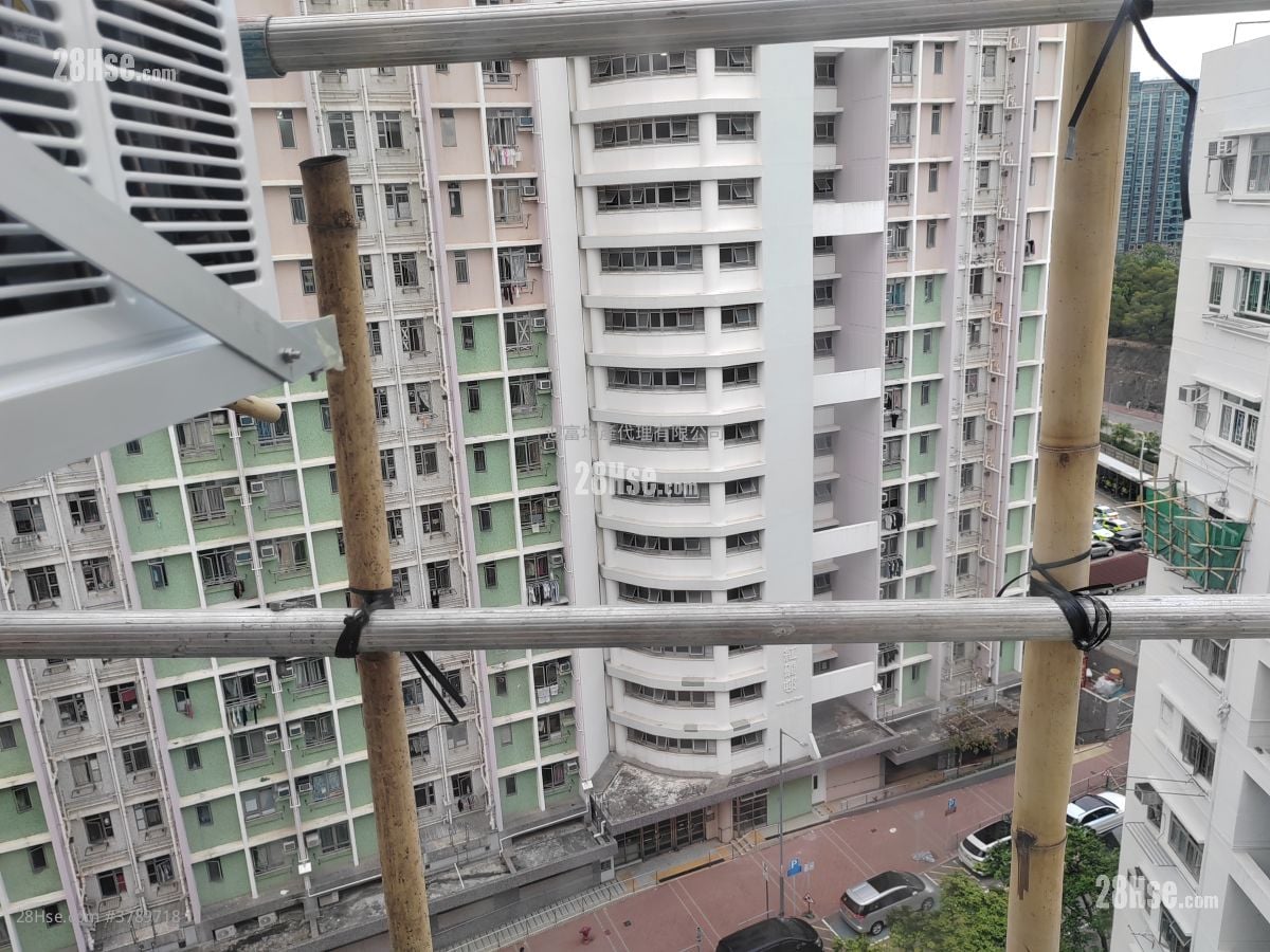 黄埔新村 租盘 1 房 , 1 浴室 360 平方尺