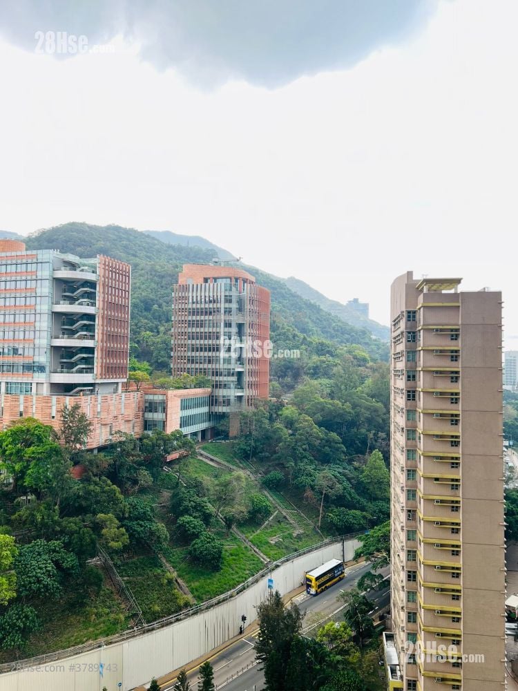 The Belcher's Rental 3 Bedrooms , 2 Bathrooms 1,103 ft²