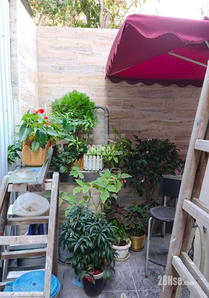 268B Prince Edward Road West Rental 4 Bedrooms , 2 Bathrooms 100 ft²