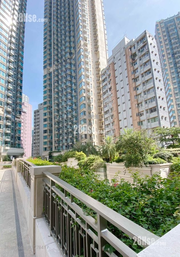 The Avenue Rental Studio , 1 Bathroom 338 ft²