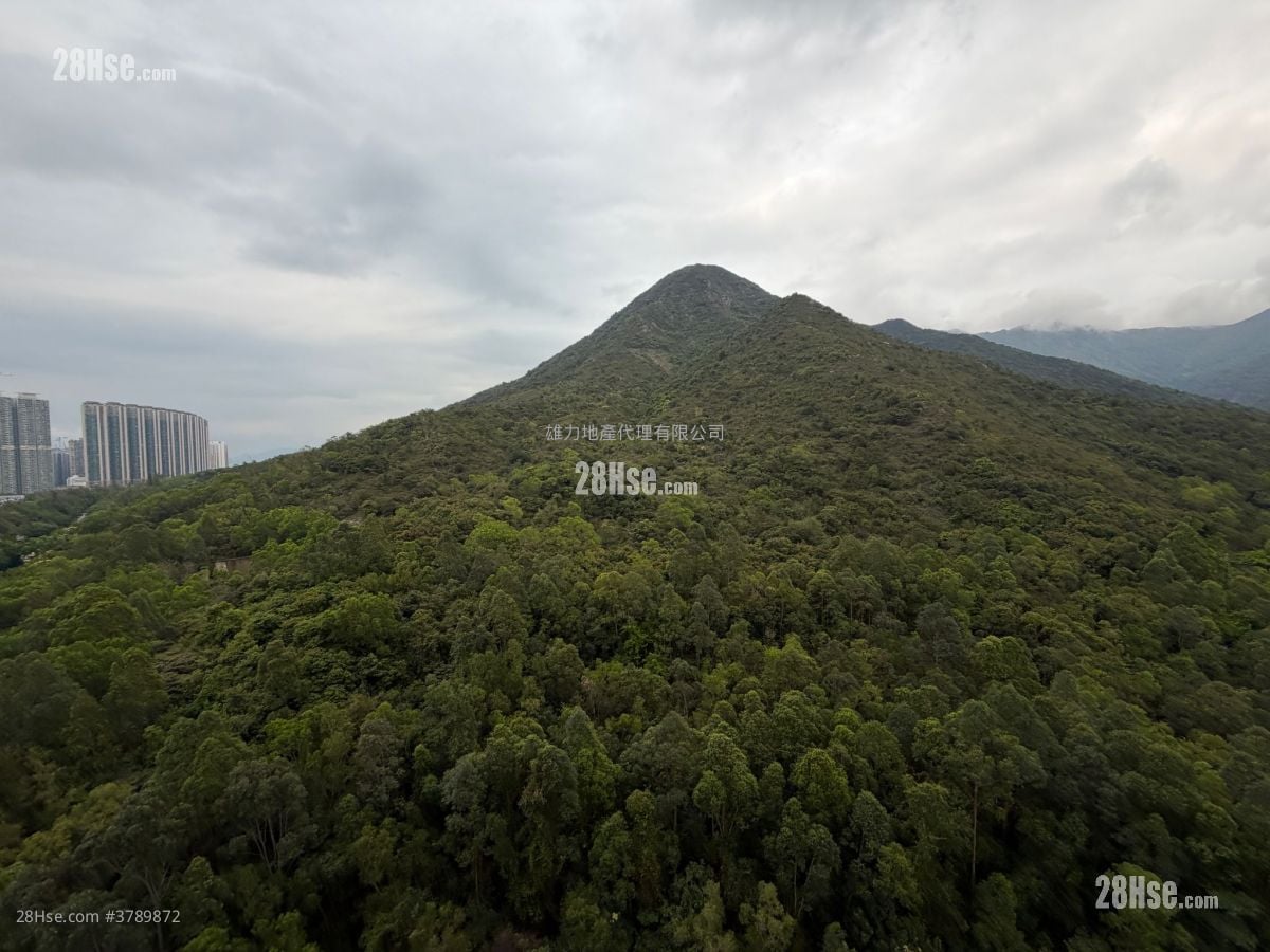 裕泰苑 售盘 1 房 , 1 浴室 279 平方尺