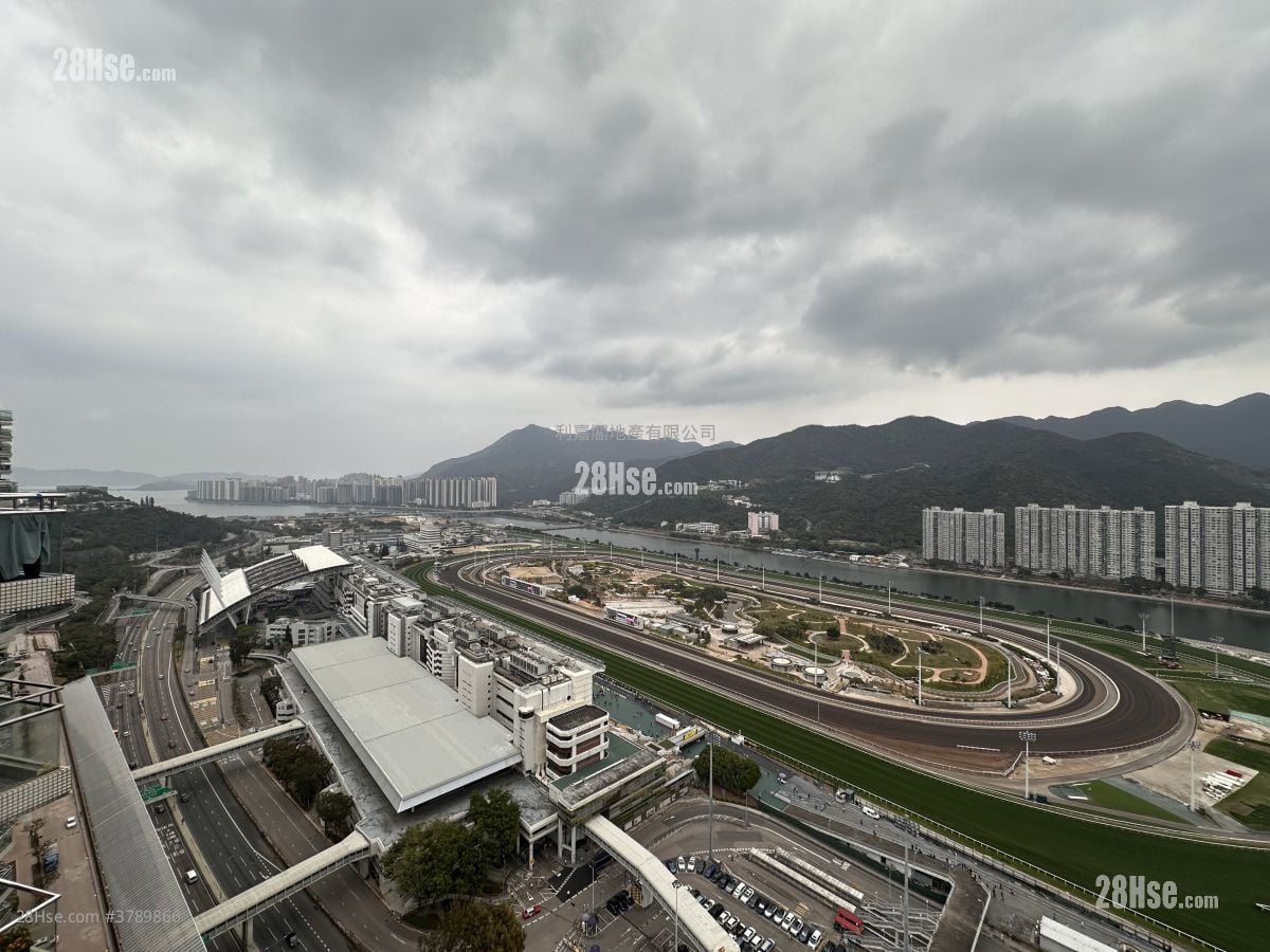 Royal Ascot Rental 4 Bedrooms , 3 Bathrooms 2,478 ft²