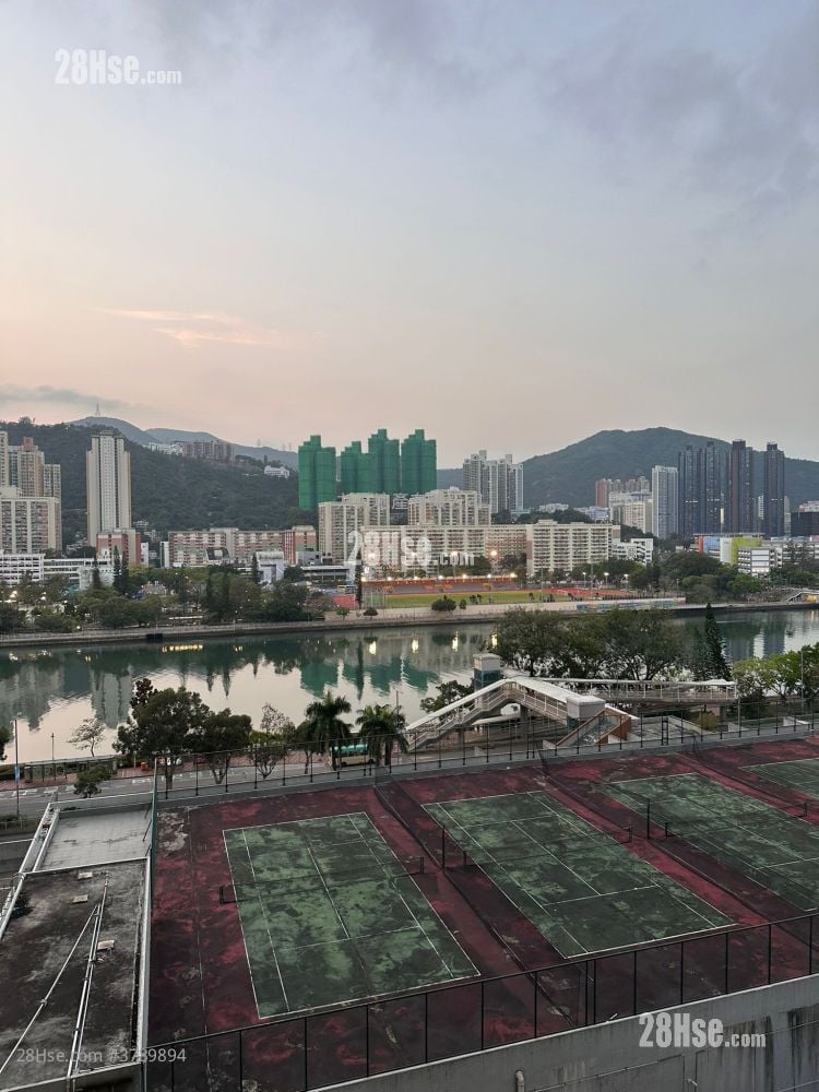 Belair Gardens Rental 4 Bedrooms , 2 Bathrooms 919 ft²