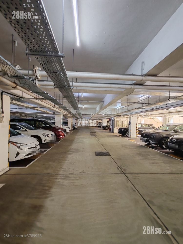 Tung Chung Crescent Rental