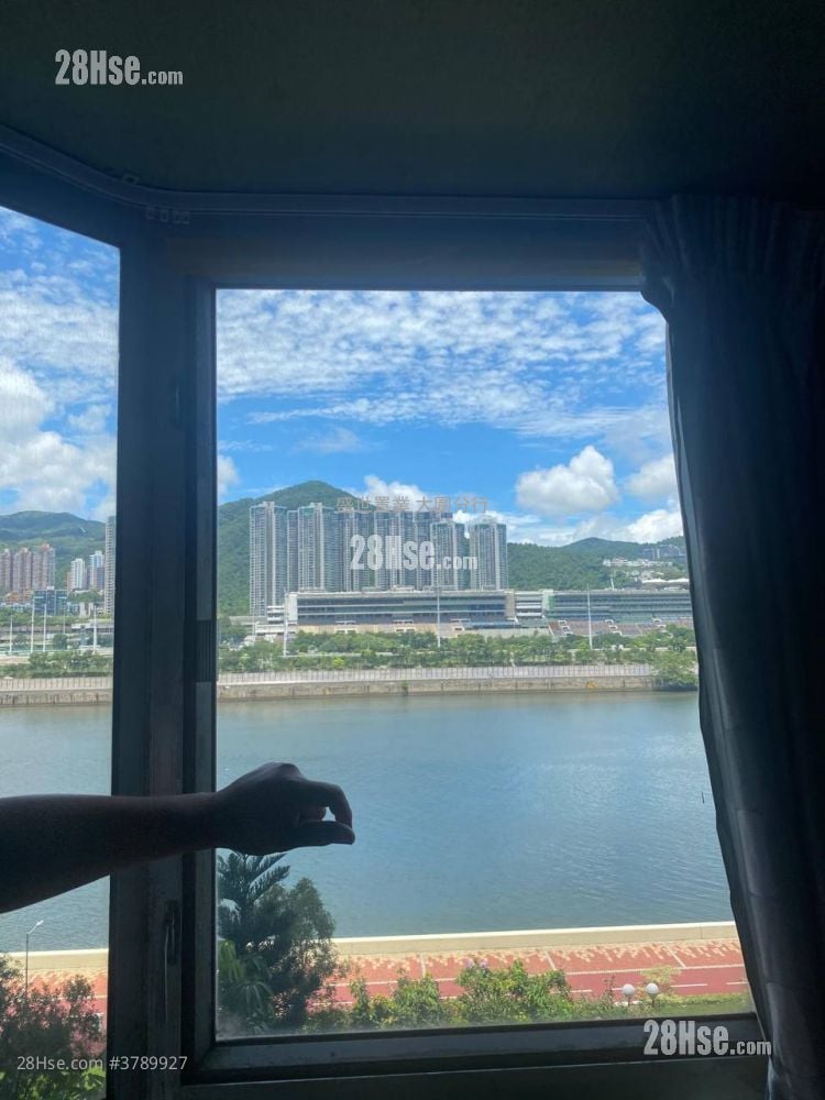 Pictorial Garden Sell 3 Bedrooms , 2 Bathrooms 770 ft²