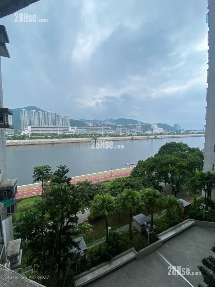 Pictorial Garden Sell 3 Bedrooms , 2 Bathrooms 770 ft²