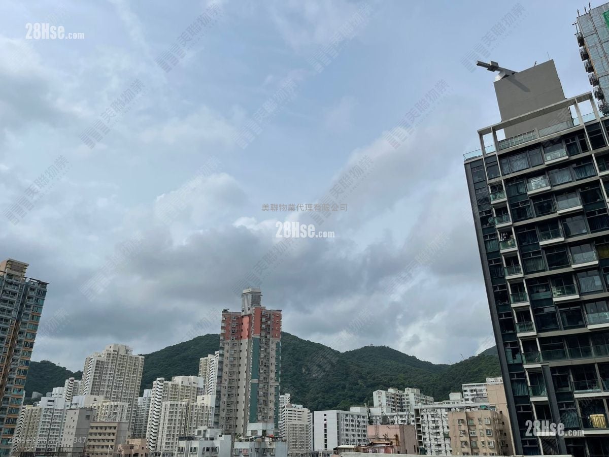 睿峰 售盘 1 房 300 平方尺