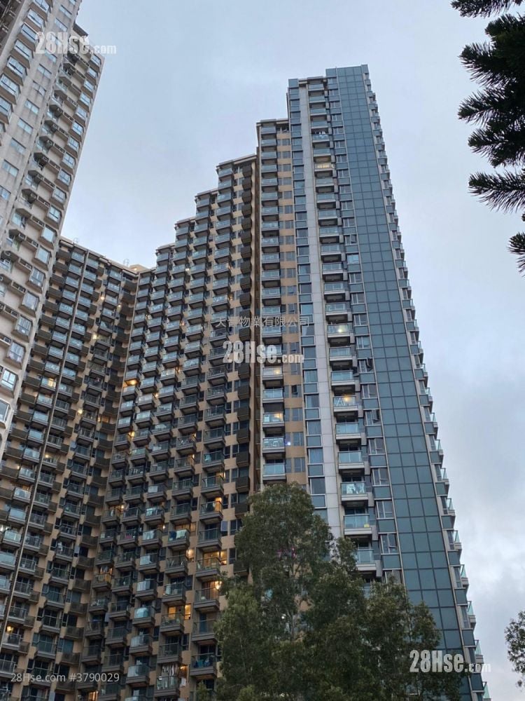 环海东岸 租盘 开放式间隔 , 1 浴室 194 平方尺