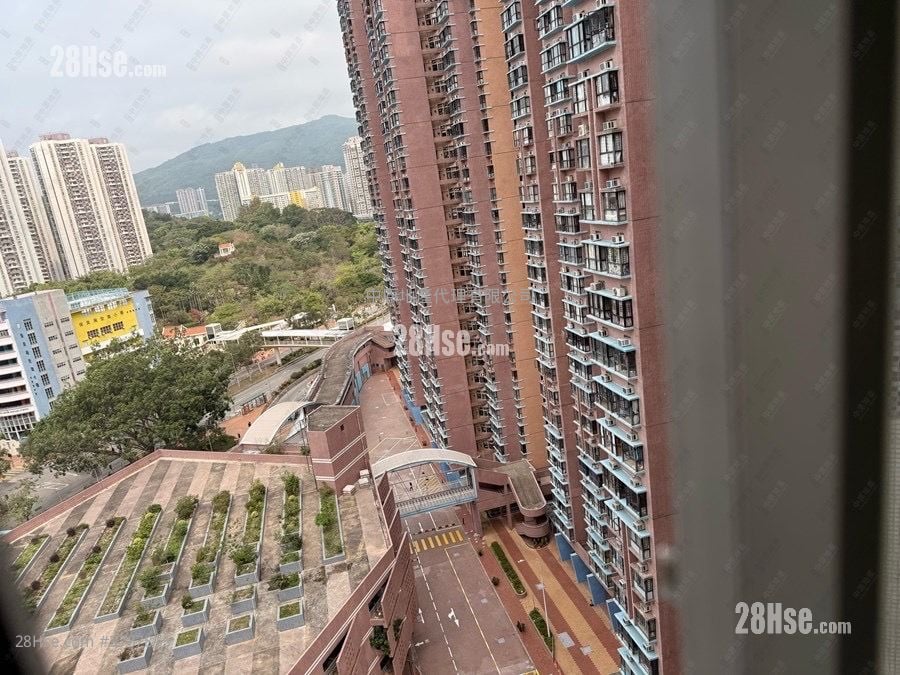 Serene Garden Sell 3 Bedrooms , 1 Bathroom 590 ft²