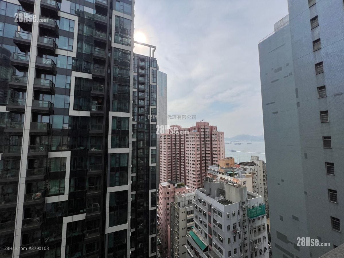 瑧蓺 租盘 开放式间隔 , 1 浴室 213 平方尺