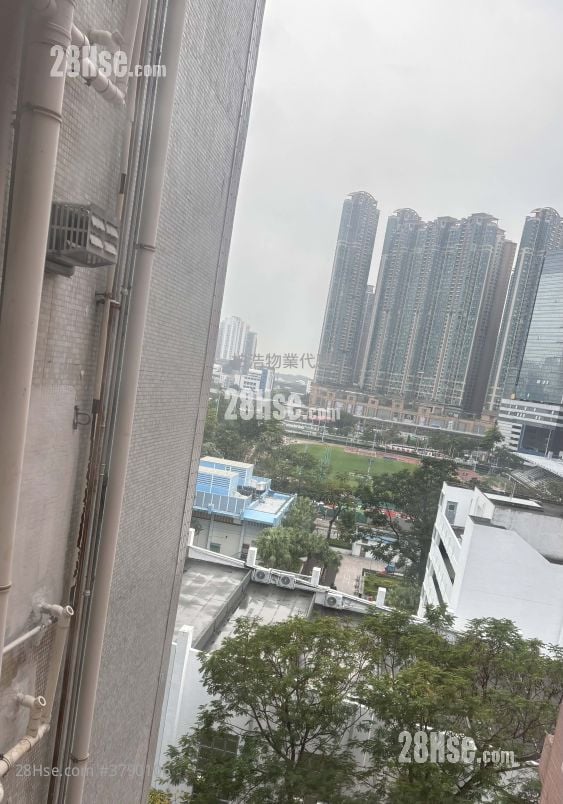 Wing Fat Court Rental 1 Bedroom , 1 Bathroom 264 ft²