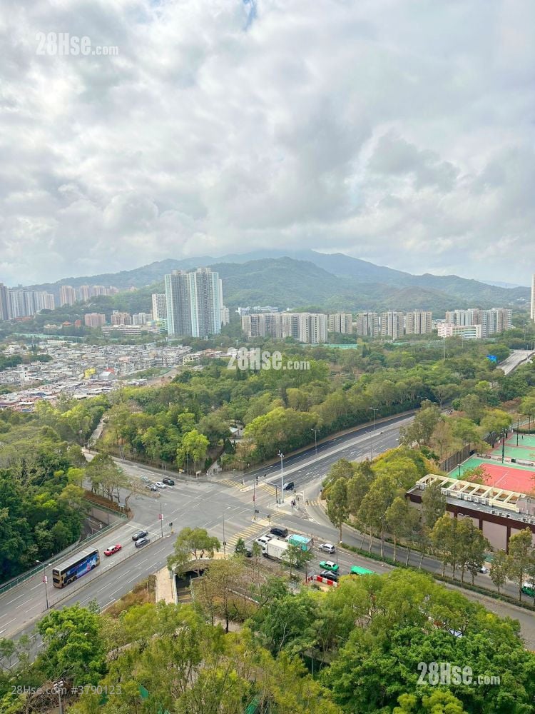 天平村 售盘 531 平方尺