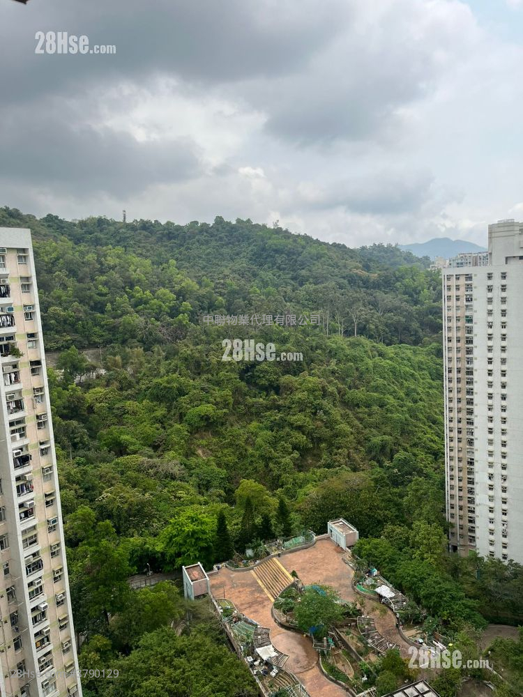 美松苑 售盘 3 房 , 1 浴室 554 平方尺