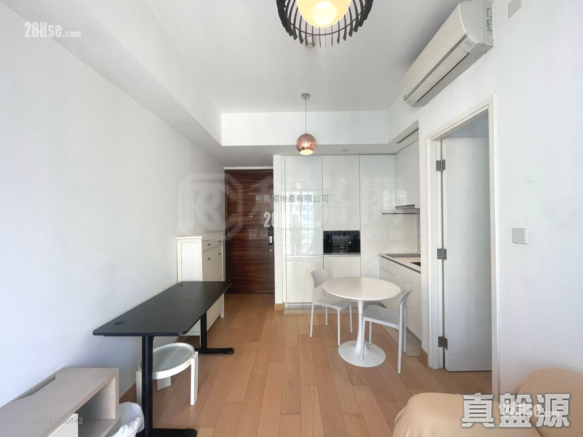 Savannah Rental 312 ft²