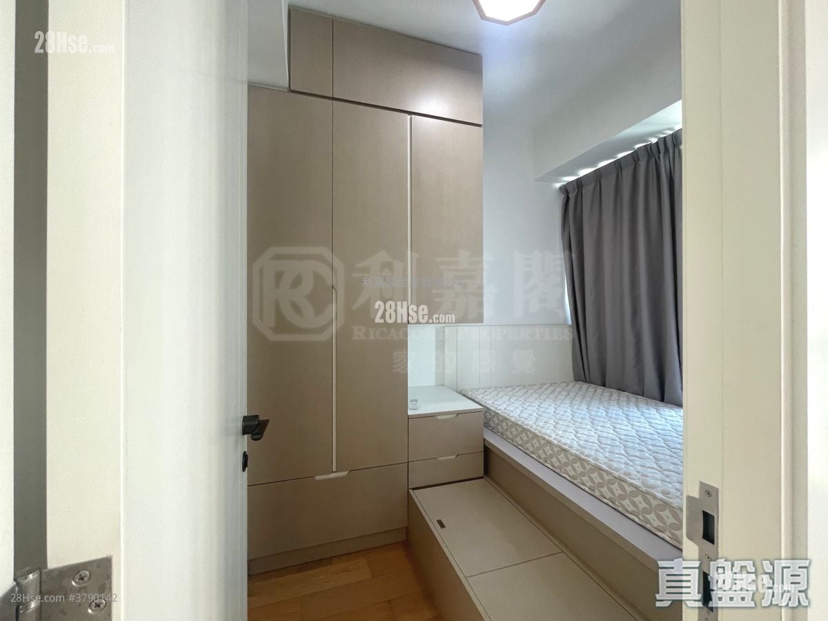 Savannah Rental 312 ft²