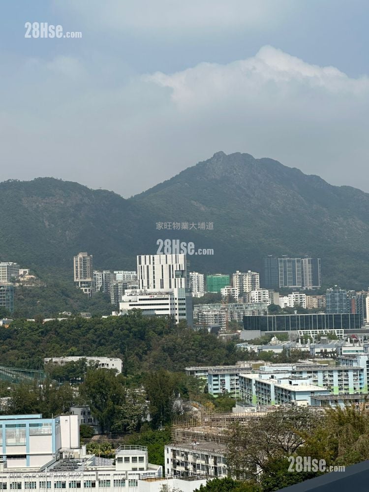 晓柏峰 租盘 1 房 , 1 浴室 305 平方尺