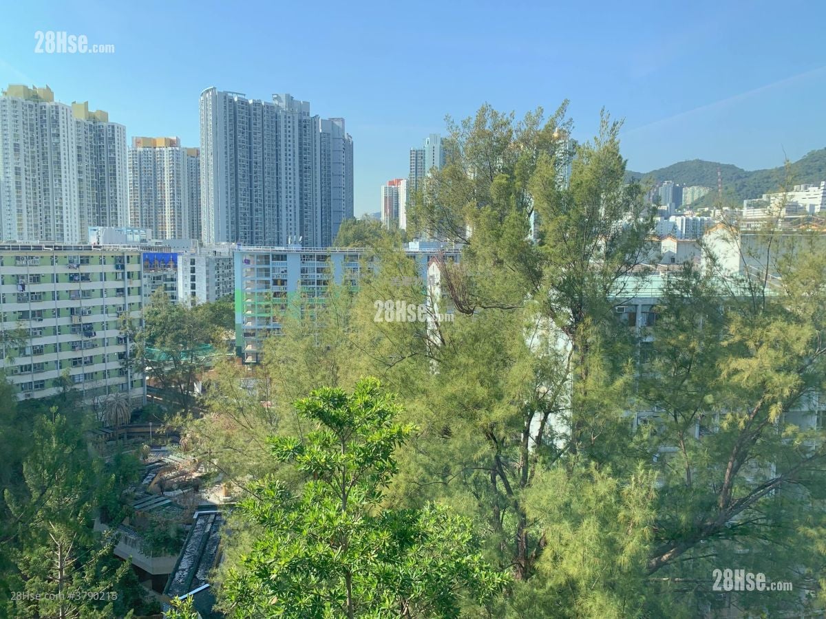 No.62 Begonia Road Sell 5+ Bedrooms , 5+ Bathrooms 4,386 ft²