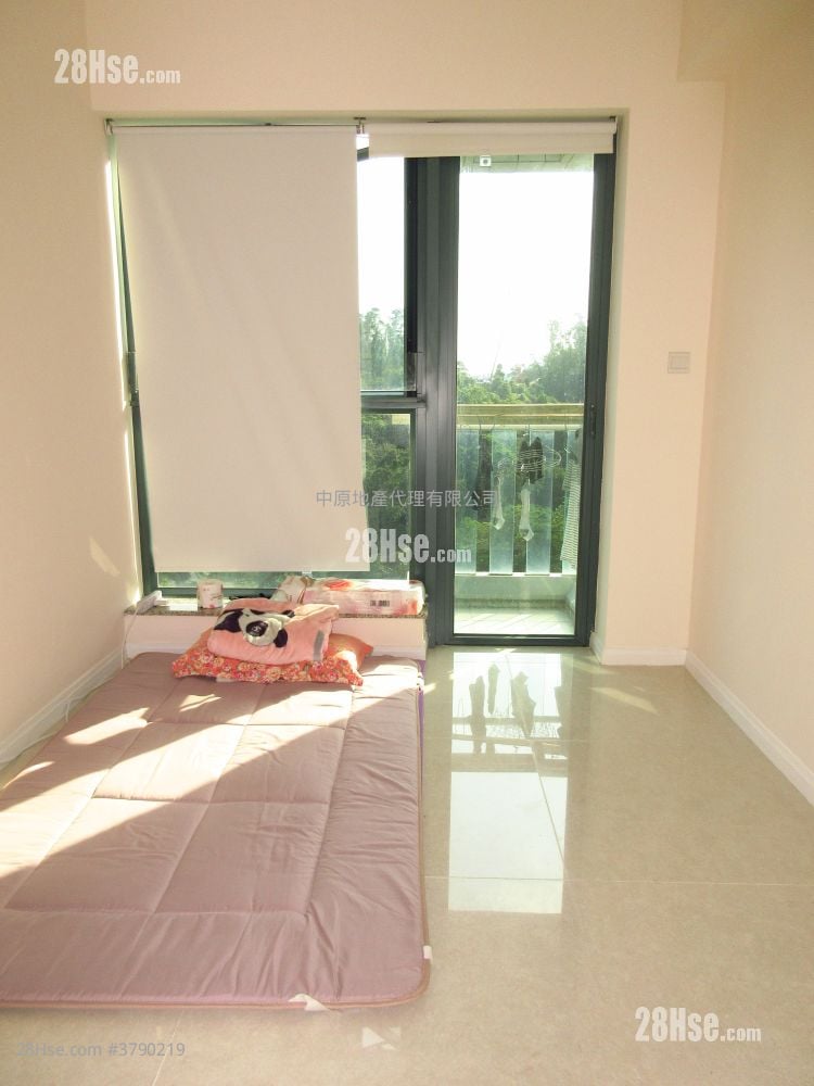 岚山 租盘 493 平方尺