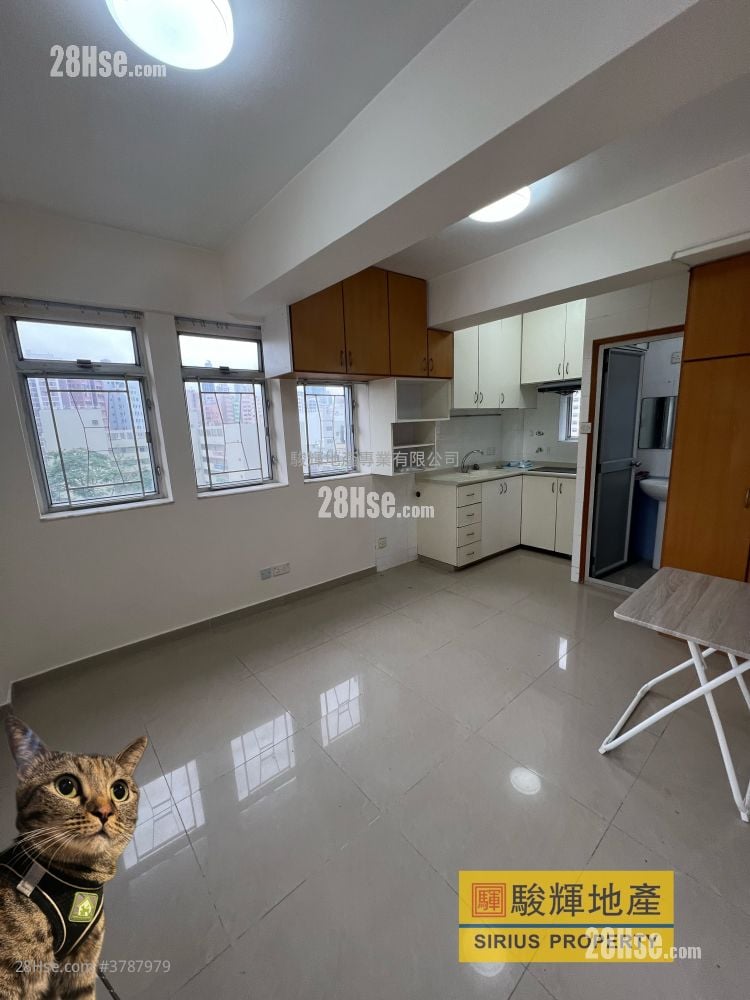 建福大厦 租盘 1 房 , 1 浴室 310 平方尺