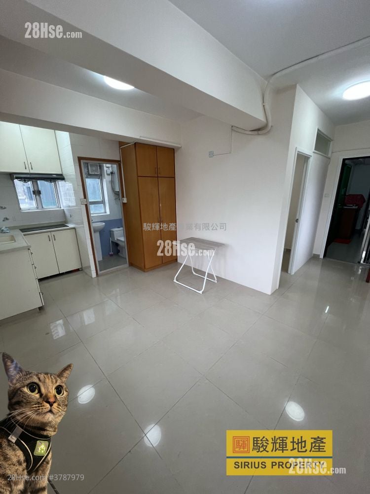 建福大厦 租盘 1 房 , 1 浴室 310 平方尺