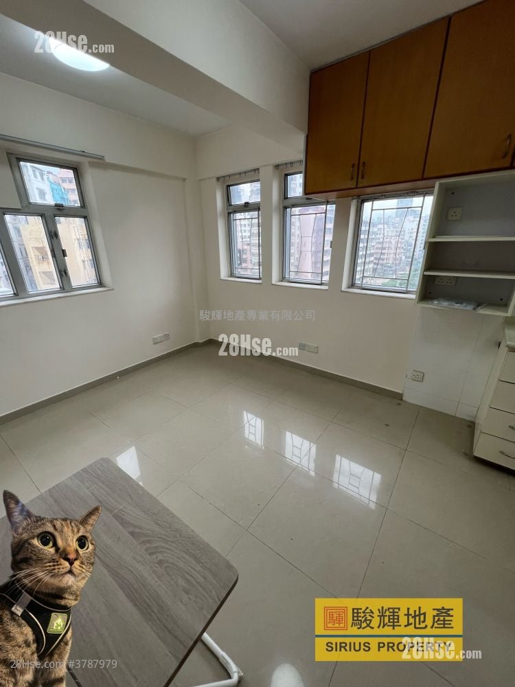 建福大厦 租盘 1 房 , 1 浴室 310 平方尺