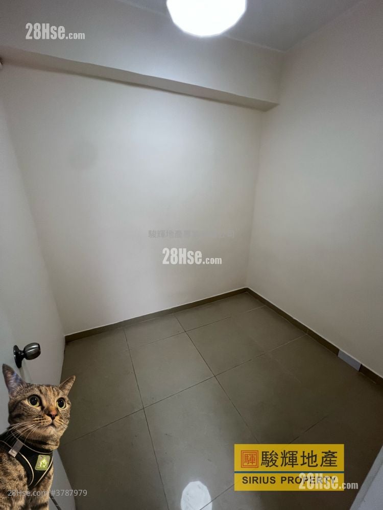 建福大厦 租盘 1 房 , 1 浴室 310 平方尺